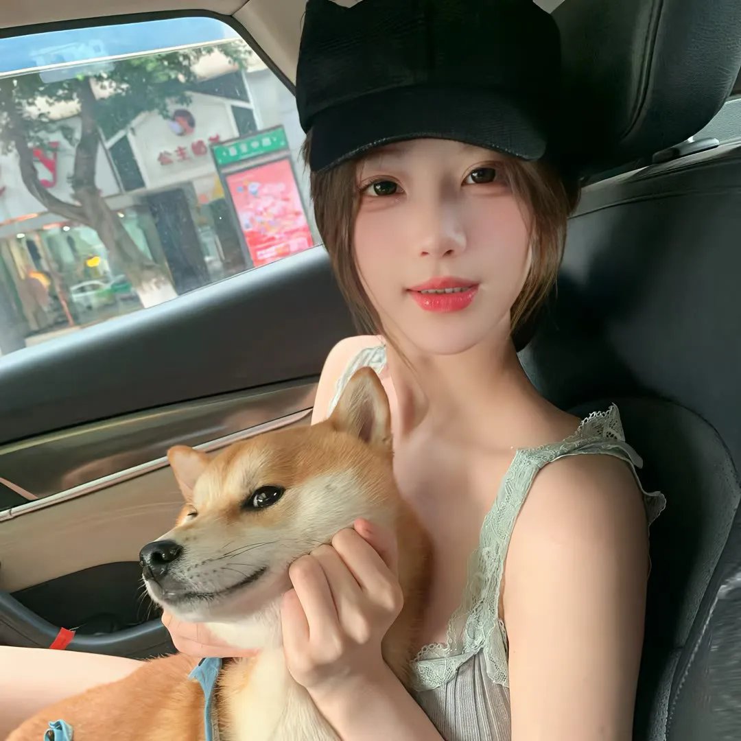 狗狗的疯狂假期
